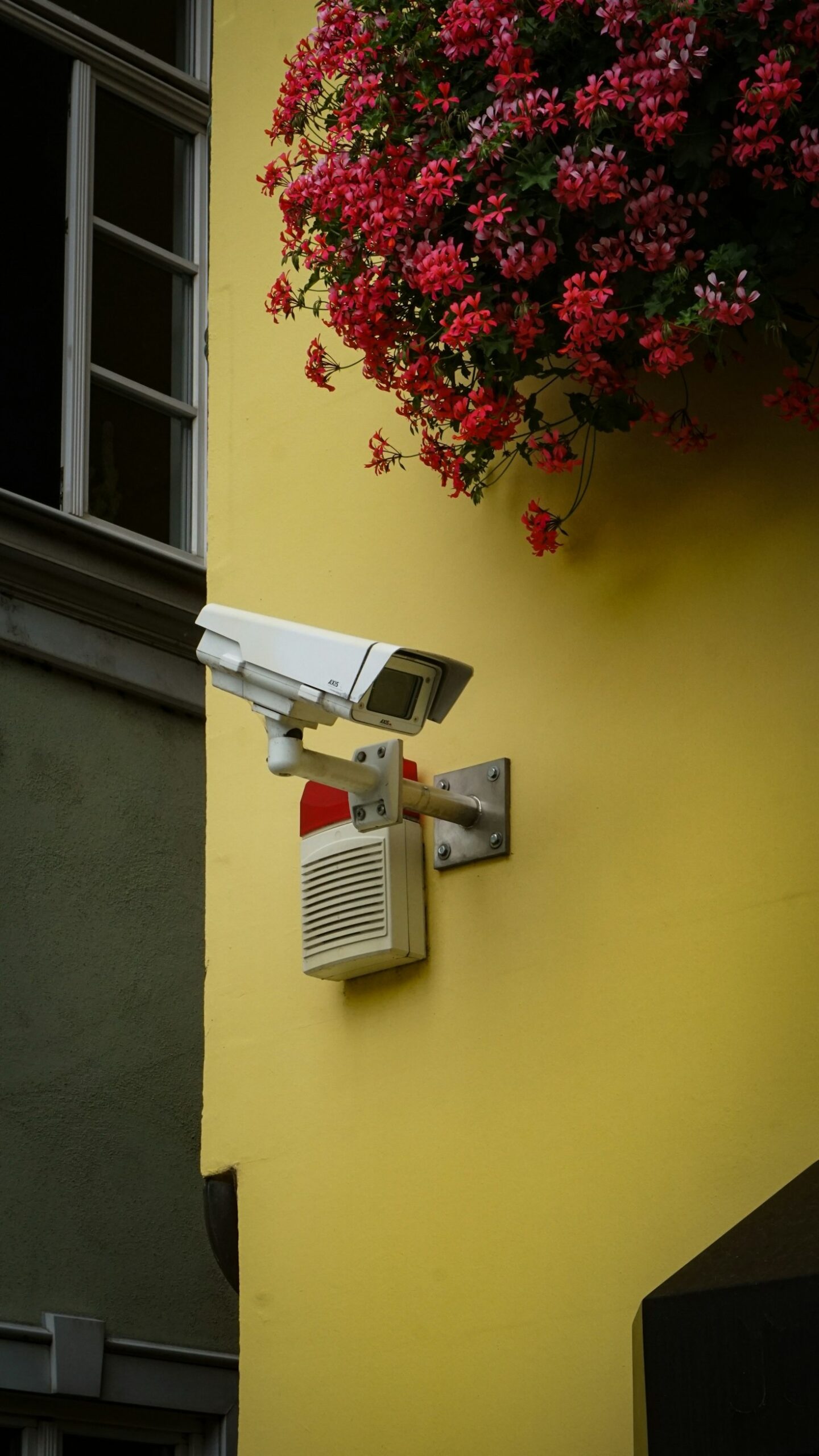 5 vantagens de automatizar a iluminação interna